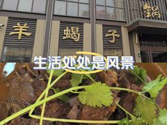 -老城一锅羊蝎子(红星东街店)