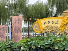 -济南大明湖景区