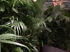 -北京东三环希尔顿逸林酒店