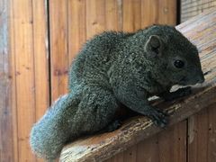 -上海大自然野生昆虫馆(东方明珠·爬宠昆虫探索中心)