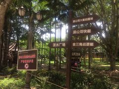 -西双版纳傣族园