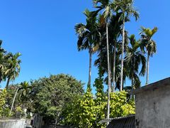 -三亚西岛海洋文化旅游区