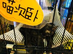 -蜜蜂家的红茶馆(华府店)