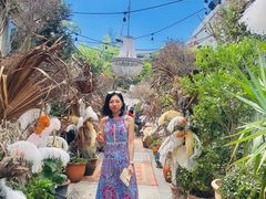 -The Grounds of Alexandria