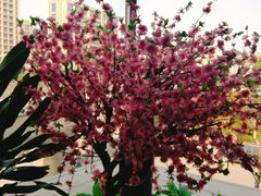 -嘉禾·悦享餐厅(八方汇店)