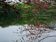 -重庆彩云湖湿地公园