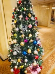 -上海虹桥锦江大酒店·宴会厅