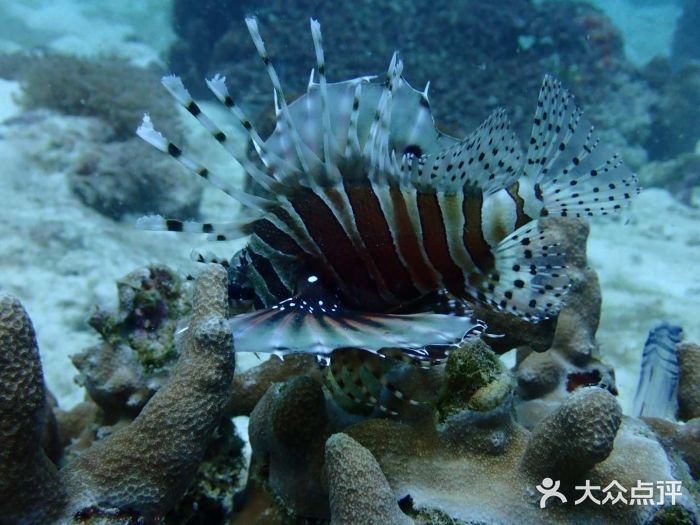 马达京岛图片