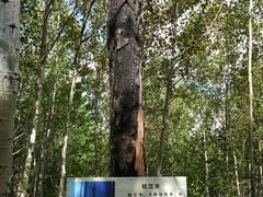 -北极村旅游风景区