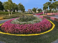 -春花秋色城市公园