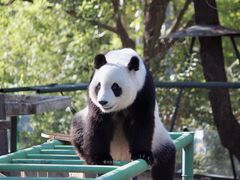 -天津市动物园