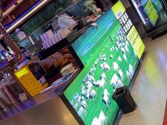 -唐力九头鸟烧烤·罗田吊锅(西云楼店)