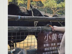 -青青世界