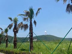 -平湖九龙山庄园圣马可酒店