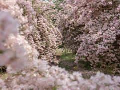 -永定河休闲森林公园