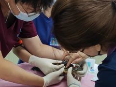 -北京观赏动物医院·24小时大型综合·猫专科·异宠专科