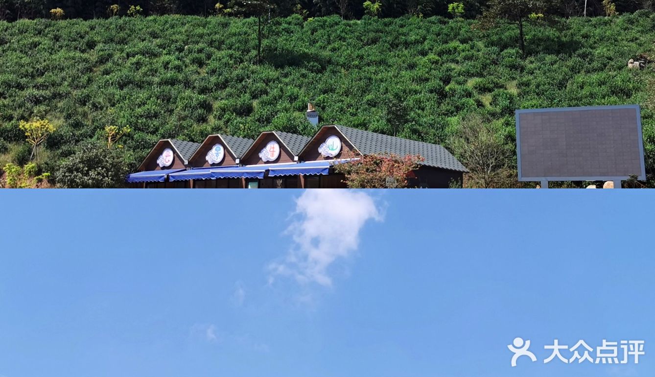 云景牛山|烈日皖南秋色打卡第一站‼️
