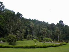 -槟城植物园