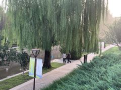 -元大都城垣遗址公园