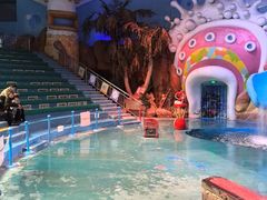 -烟台海昌鲸鲨海洋公园