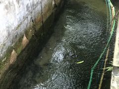 -江门古兜温泉小镇