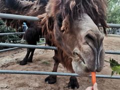 -广东茂名森林公园