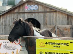 -造物庄园 萌宠纪(苏州湾歌林公园店)