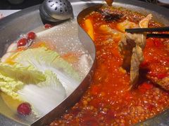 -蜀九香火锅(彩虹店)