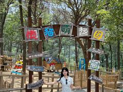 -沂蒙山旅游区云蒙景区(蒙山国家森林公园)