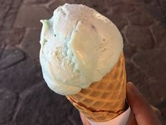 -iceason爱茜茜里·意大利健康冰淇淋(骑龙巷店)