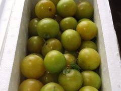 -呼吸森林·生态农庄农家乐私房菜