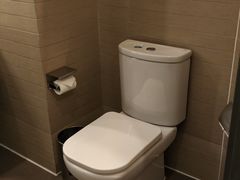 -北京望京华彩智选假日酒店