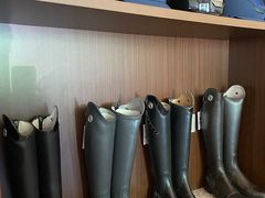 -北京群众马术培训基地