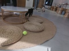 -Heymao猫咖.咖啡厅(东门店)