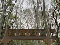 -灵谷景区