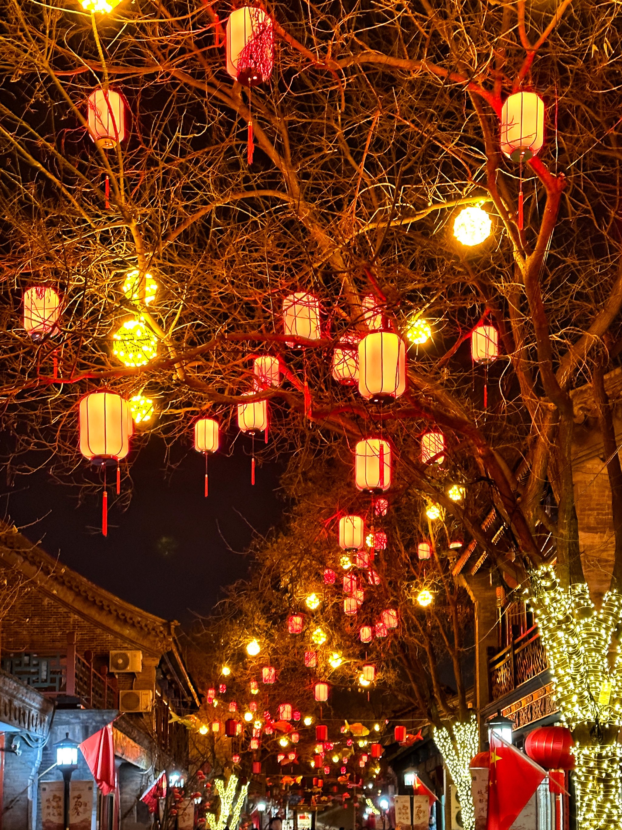 北京元宵节赏灯的景点图片