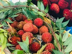 -Blueglass酸奶(财富购物中心店)