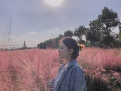 -花博汇(知音花月夜)