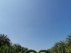 -惠州金海湾嘉华度假酒店