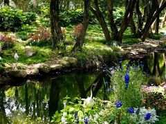 -上海共青森林公园