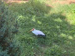-西霞口神雕山野生动物世界