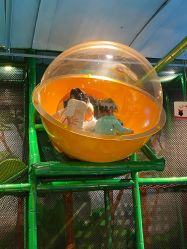 -KidSteam儿童乐园(富力城店)