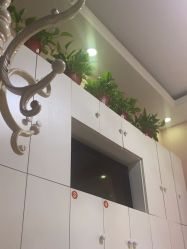 -香薇妮丝·定制减肥·身材管理