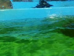 -多彩贵州城极地海洋世界