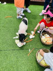 点击看大图 -小蜜蜂农场(凯德七宝购物广场店)