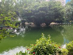 -九龙公园