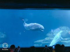 -皇家极地海洋世界-售票处