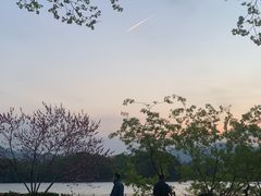 -老头儿油爆虾(星光一期店)