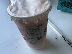 -雾与山茶(大禹城店)