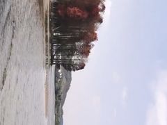 -四明湖